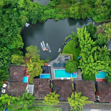 Athirapally Green Trees Athirappilly Exteriér fotografie