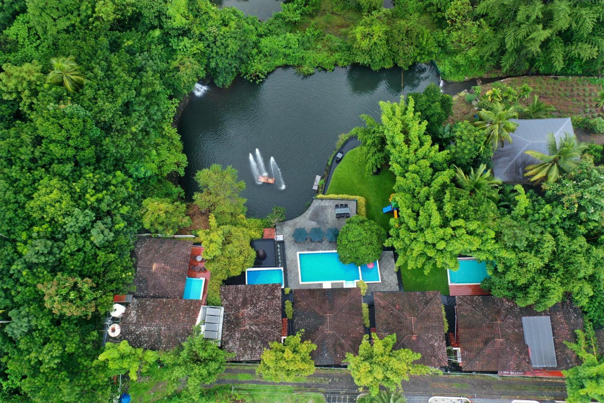 Athirapally Green Trees Athirappilly Exteriér fotografie